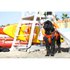 Safe waterman Conjunto De Remo Inflável Patrol Rescue 11´0´´