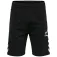 Hummel Ray 2.0 shorts