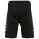 Hummel Ray 2.0 shorts