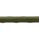 Sea to summit Camp Plus Rectangular Wide oppblåsbar matte