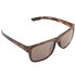 Avid carp Seethru TS Classic Polarized Sunglasses