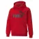 Puma Essential Big Logo kapuzenpullover
