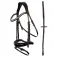 Anky Capezza Anatomic
