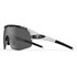 Tifosi Sledge Lite Interchangeable Sunglasses