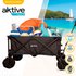 Aktive Foldable Cart With Wheels For Sand 50kg