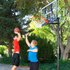 Lifetime UV 244-305 Cm 100 Resistent Basketbal Mand Instelbaar Hoogte 244-305 Cm