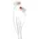 JBL Cuffie wireless TUNE 110