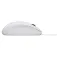 Logitech B100 鼠标