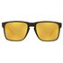 Oakley Gafas De Sol Polarizadas Holbrook XL Prizm