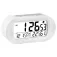 Elbe RD009B alarm clock