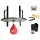 Everlast Speedbag-Set