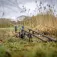 Avid carp Lok Down 2 rod pod