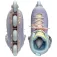 Impala rollers Lightspeed inline skates