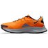 Nike Chaussures de trail running Pegasus Trail 3
