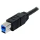 Startech Cavo USB 3.0 a USB B 3 m