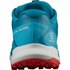Salomon Ultra Glide trail running shoes