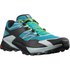 Salomon Wings Sky trail running shoes