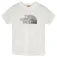 The North Face Biner Graphic 1 short sleeve T-shirt