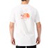 The north face Biner Graphic 4 short sleeve T-shirt