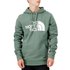 The north face Half Dome Hoodie