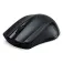 Acer Mouse wireless RF2.4