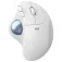 Logitech Ergo M575 Wireless Ergonomic Mouse 2000 DPI