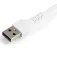 Startech Câble Lightning vers USB-A M/M 15 cm