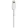 Startech Cable Lightning a USB-A M/M 30 cm