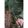 Korum Power landing net
