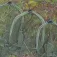 Korum Speci-Square landing net head
