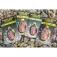 Korum Giratori d´alimentació Grub S