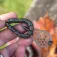 Korum Plom de carpfishing Bait Gripper