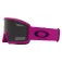 Oakley Ridge Line L ski goggles