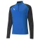 Puma TeamLiga jacket