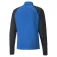 Puma TeamLiga jacket