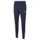 Puma TeamRise Poly Training pants