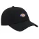Dickies 6 Panel Logo Czapka