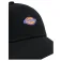 Dickies 6 Panel Logo キャップ