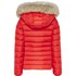 Tommy jeans Basic Hooded Down Jacket
