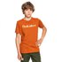 Quiksilver Primary Colours short sleeve T-shirt