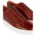 Ted baker Udamo Trainers