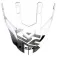 LS2 MX436 Evo Evolve visir