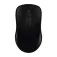 Rapoo 1620 1000 DPI wireless mouse