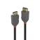 Lindy DisplayPort 1.4 cable 2 m