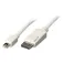 Lindy Câble Mini DisplayPort vers DisplayPort 2 m