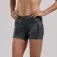 Zoot Short LTD Run Pulse