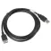 Lanberg Câble Rallonge USB-A M/H 1.8 m