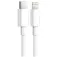 Phoenix technologies Cavo USB-C a Lightning M/M 1 m