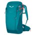 Salewa Alp Trainer 20L rucksack