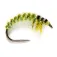 Baetis Ryacophila Larva Fly